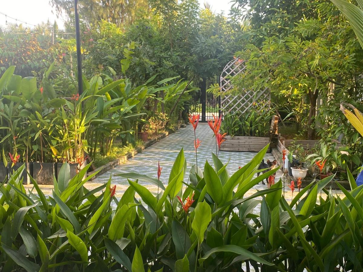 Laoxao Homestay Hoi An Exterior photo